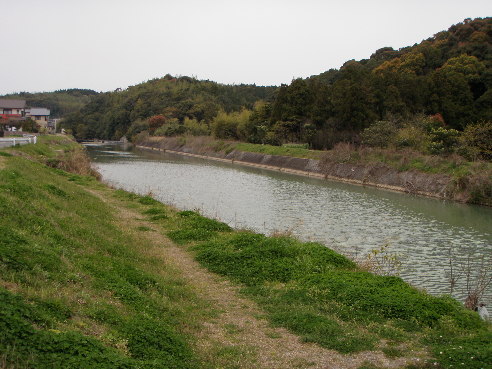 広瀬川 09 03 29 釣り 天草の乱