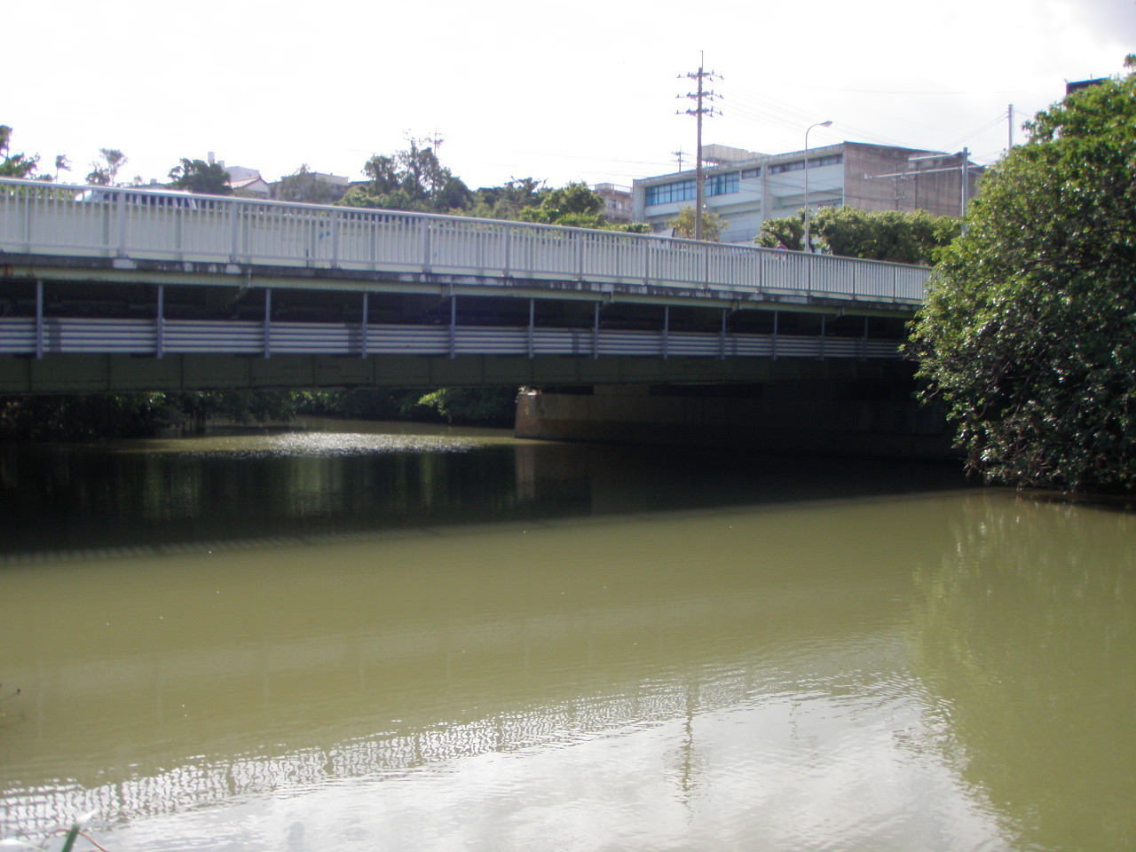 比謝川 釣行 沖縄県嘉手納町 11 09 22 釣り 天草の乱