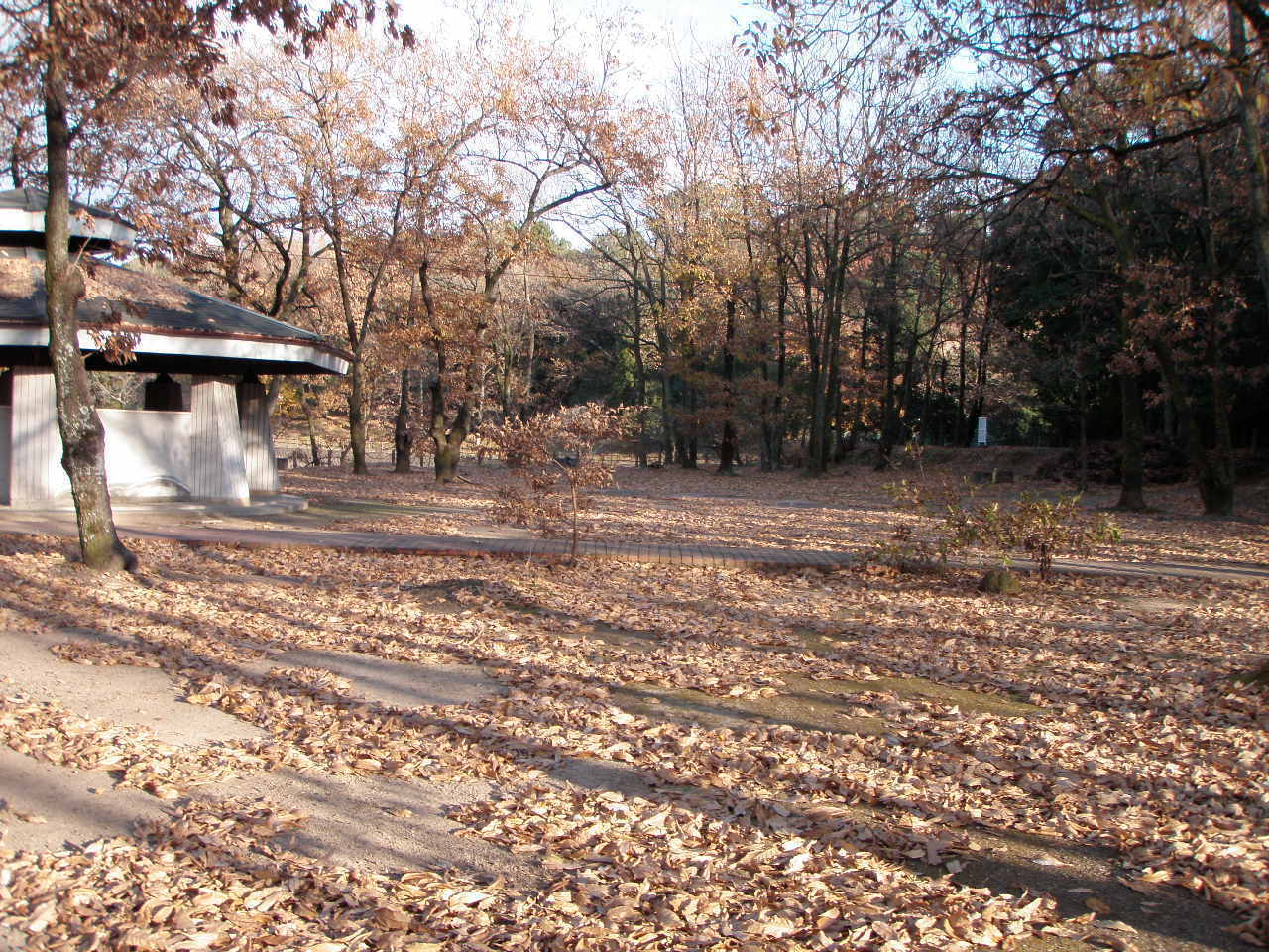 立岡池 バス釣り（2011.12.26）: 釣り、天草の乱